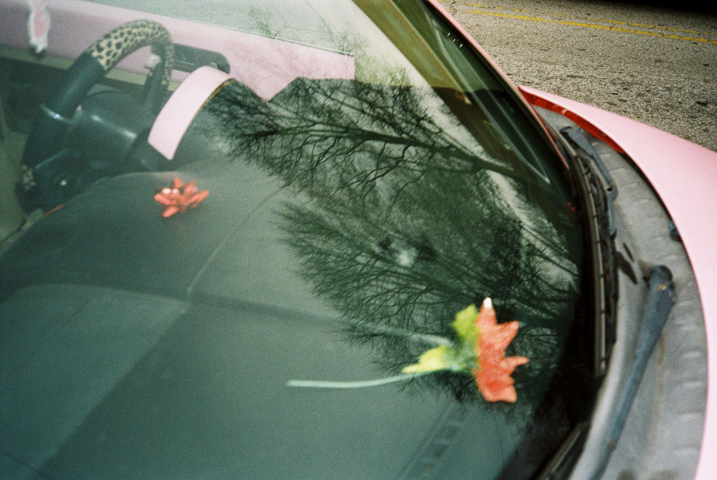Film photograph