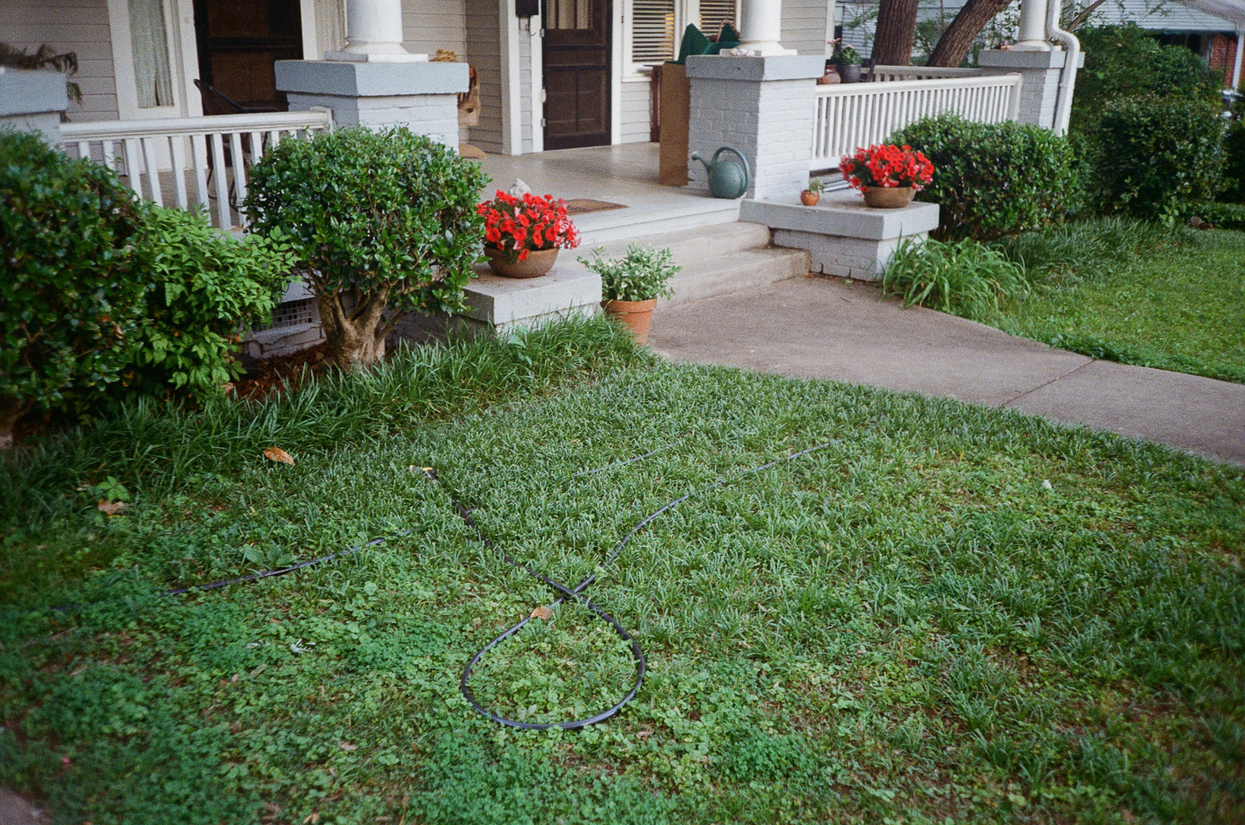 Film photograph