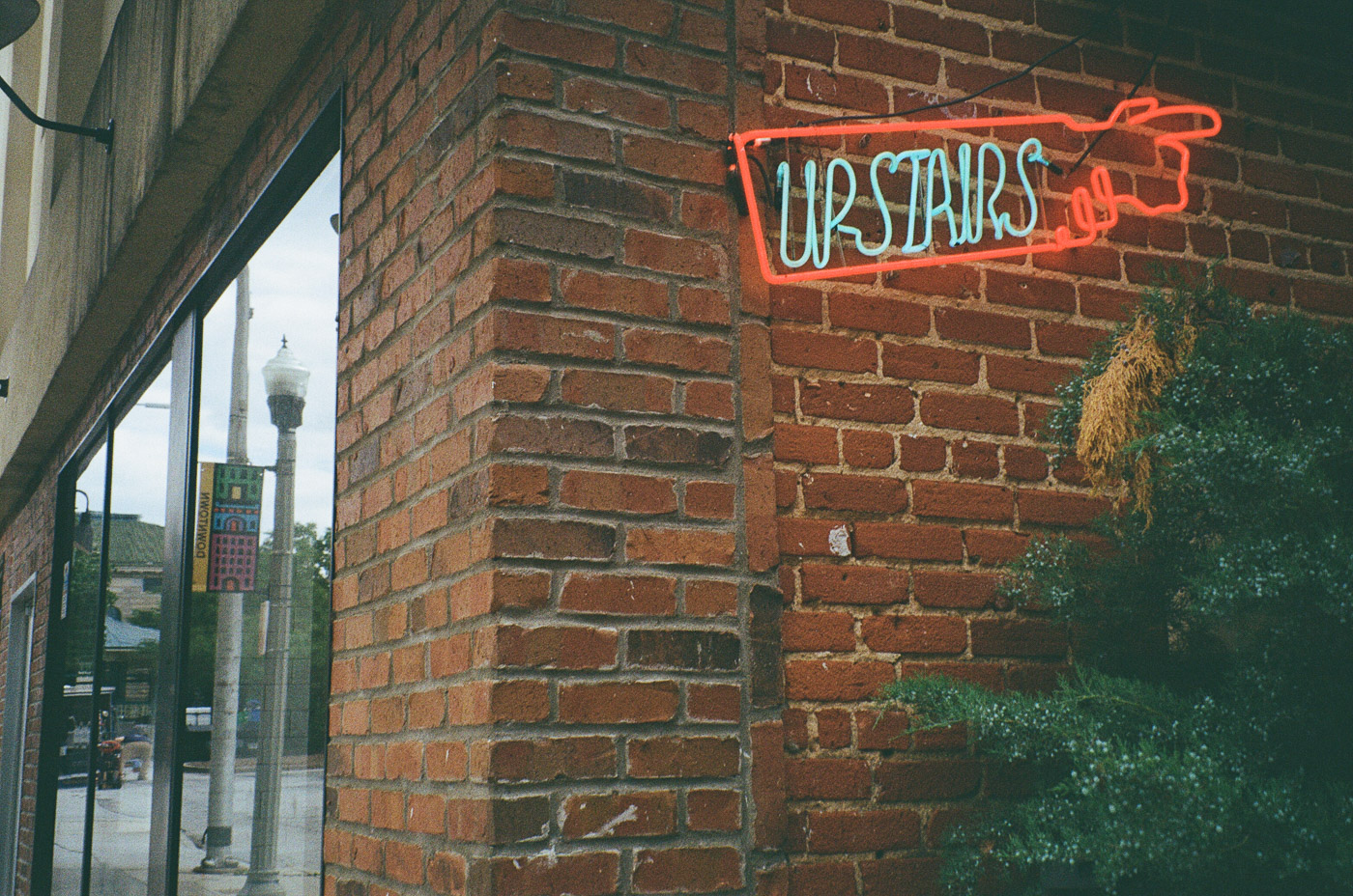 Film photograph