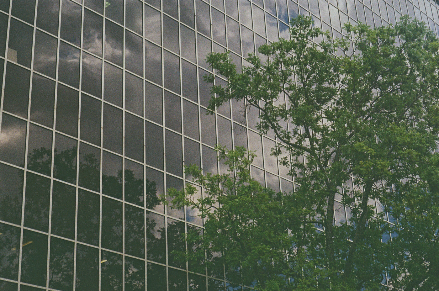 Film photograph