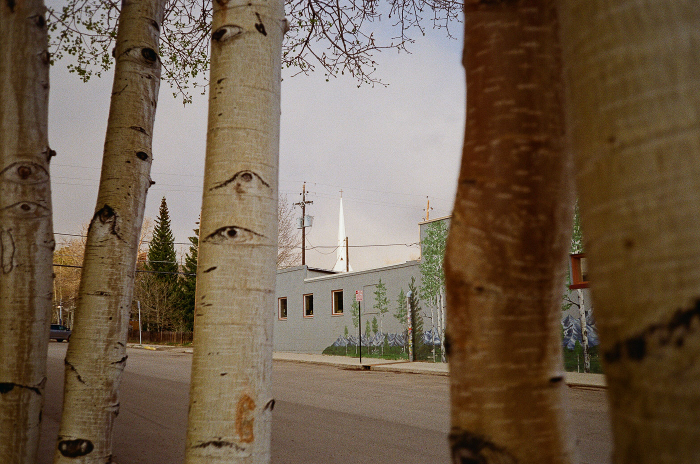 Film photograph